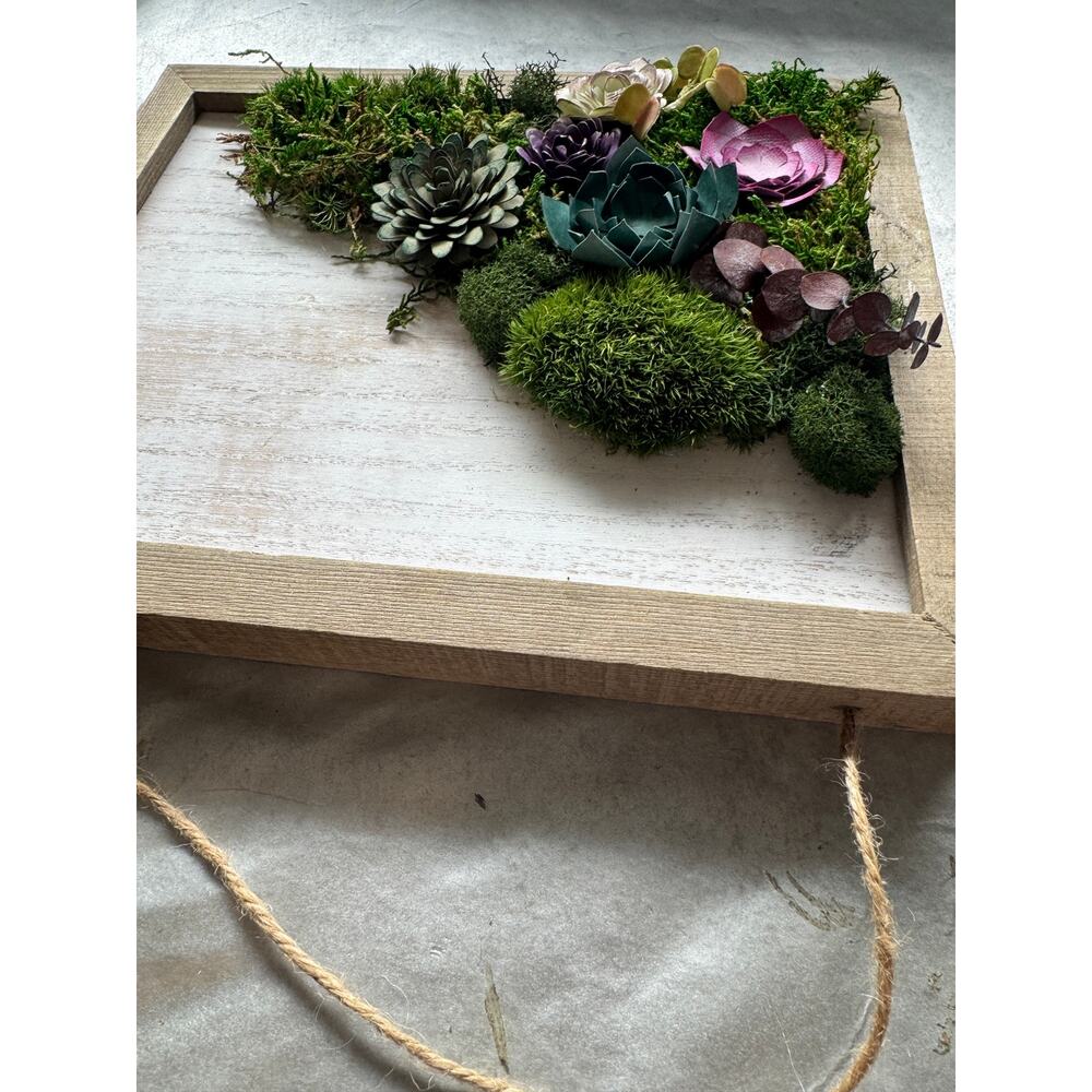 Handmade 8x10 Preserved Moss Wall Art w/ Paper Succulents Rustic Botanical Decor - Picture 12 of 12